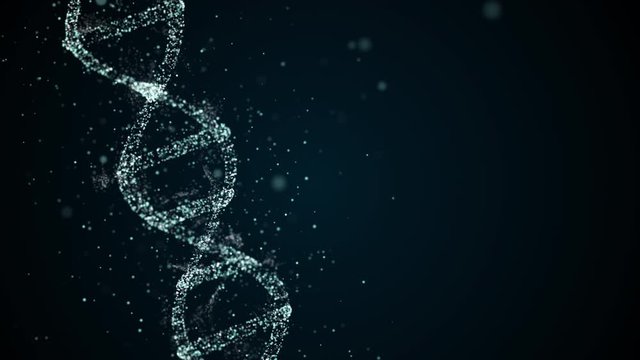 Analysis of DNA Structure. DNA strand molecule consisiting of four pieces adenine, thymine, guanine and cytosine.