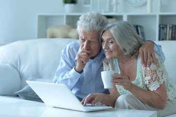Portrait of senior couple using laptop at home