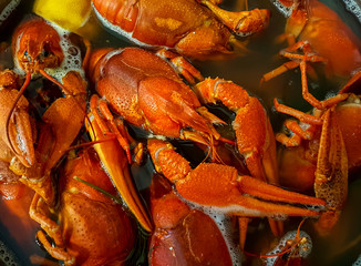 Cooking crayfish in boiling water with spices.