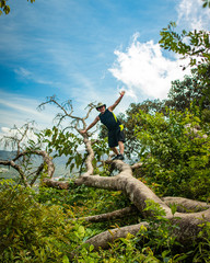 Man climbing on a fallen tree overhanging a cliff in the jungle.