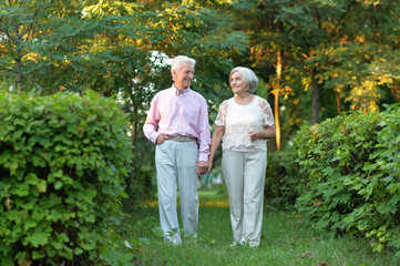 Portrait of beautiful senior couple posing in the park