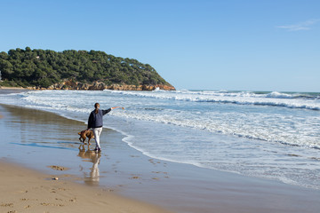 Dog and mistress are played on the beach. Sunny day. Train your dog in the form of a game.