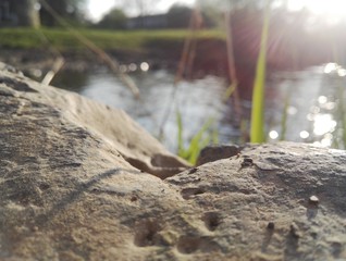 Steine am Fluss