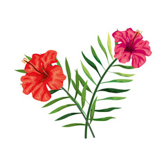flowers natural with branches and leafs vector illustration design