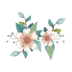 Fototapeta na wymiar cute flowers with branches and leafs isolated icon vector illustration design