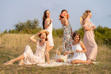 The company of stylish happy female friends having fun on outdoor retro style picnic party