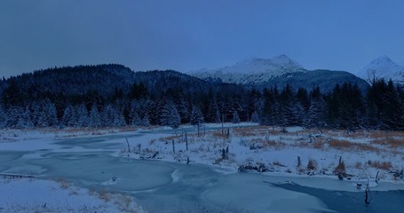 Winter wetlands in Alaska 