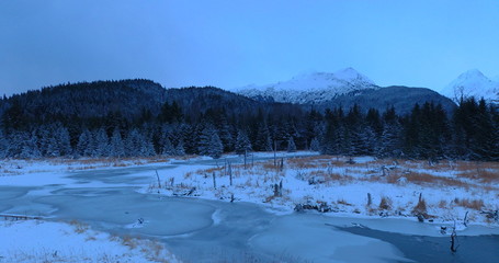 Winter wetlands in Alaska 