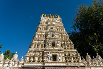 Looking Up to the Top of the Sri Swetha Varahaswami Temple