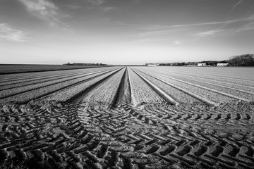 Obraz premium Plowed pasture in black and white