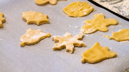 Close Up View of Uncooked Sugar Cookie With Flour On Top