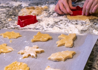 Young Kid Cutting Shapes From Sugar Cookie Dough