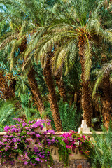 Palm trees and flowers in Draa valley oasis, Morocco. Vertical.