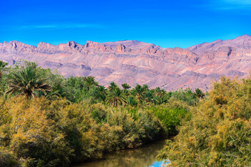 Fototapeta na wymiar A view of the landscape of the river Draa, Morocco.