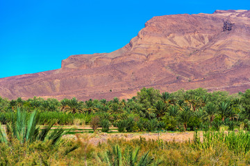 Mountain landscape Draa valley oasis, Morocco.