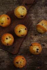 Mini chocolate chip muffins close up, selective focus
