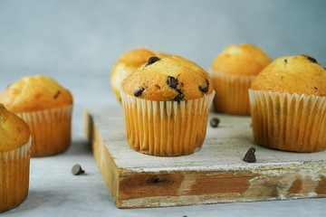 Mini chocolate chip muffins close up, selective focus