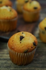 Mini chocolate chip muffins close up, selective focus