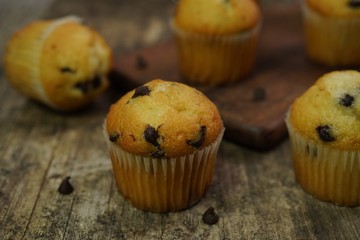 Mini chocolate chip muffins close up, selective focus