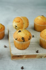 Mini chocolate chip muffins close up, selective focus