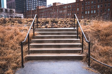 wooden bench in the park