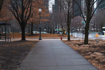 city street in the afternoon