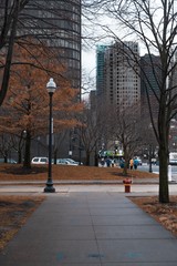 street in the city of chicago 