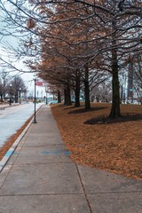 crosswalk in the winter with flag 