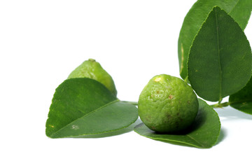 kaffir lime / Citrus × hystrix DC, also known as jeruk purut, one kind of citrus that usually used fo cooking and traditional medicine. Shoot on a white isolated background