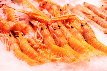 Top view to shrimps on display on ice in fisherman market store in Spanish market