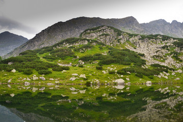 Fototapeta na wymiar Panorama of the Western Tatras