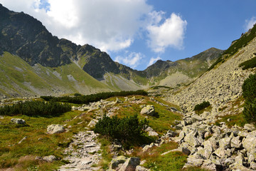 Fototapeta na wymiar Panorama of the Western Tatras