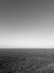 Black and White picture . Beautiful fiel. Free diel. Green fiel. beautiful colours