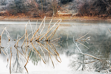 Beautiful nature scenes