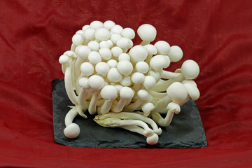 white beech mushrooms
