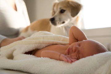 New born baby laying on the bed with small white dog in the background
