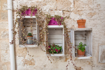 Fototapeta na wymiar Shabby chic exterior decor, wooden box as potted flower stand on the wall