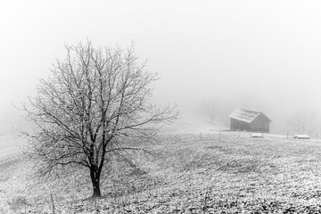 Old barn in snowy morning