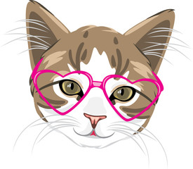 Cute kitten in pink glasses