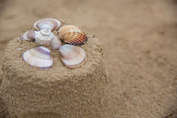 Fototapeta na wymiar Sand cake decorated with seashells. Vacation concept