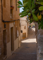 Obraz premium Avenue in small spanish village