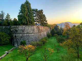 old wall with nature in bergamo italy