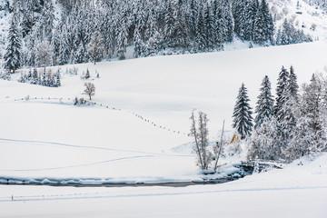 A river winding through a snowy mountain valley. The mountain is covered with conifers covered by snow. Beautiful natural background.