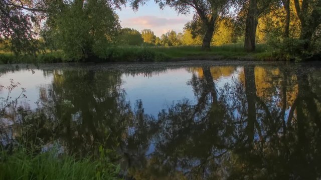 Oxford, UK- Cherwell River at University Parks
