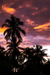 Obraz na płótnie Canvas Sunset on tropical island