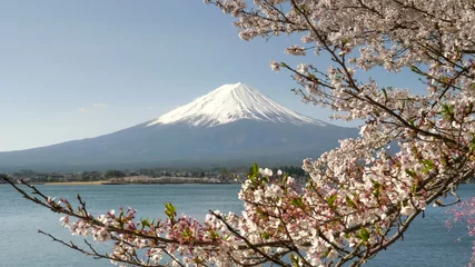 Cercles muraux Mont Fuji gros plan d& 39 une branche de cerisier en fleur avec le mont fuji au loin à kawaguchiko