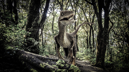 Velociraptor Dinosaur  in the  Rainforest
