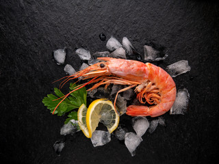 shrimp on a stone black table with lemon, parsley leaves and ice