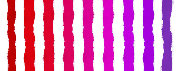 Strips of multi-colored paper with a smooth gradient from bright red to soft purple and white isolated paper with torn edges between them. Ability to cut any strip