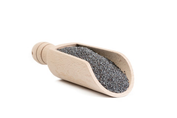blue poppy seeds in wooden scoop isolated on white background. food ingredient.